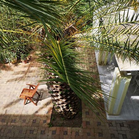 B&B La Salamandra Kitchengarden Forio di Ischia Esterno foto