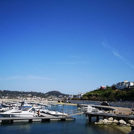 B&B La Salamandra Kitchengarden Forio di Ischia Esterno foto