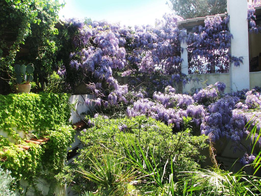 B&B La Salamandra Kitchengarden Forio di Ischia Esterno foto