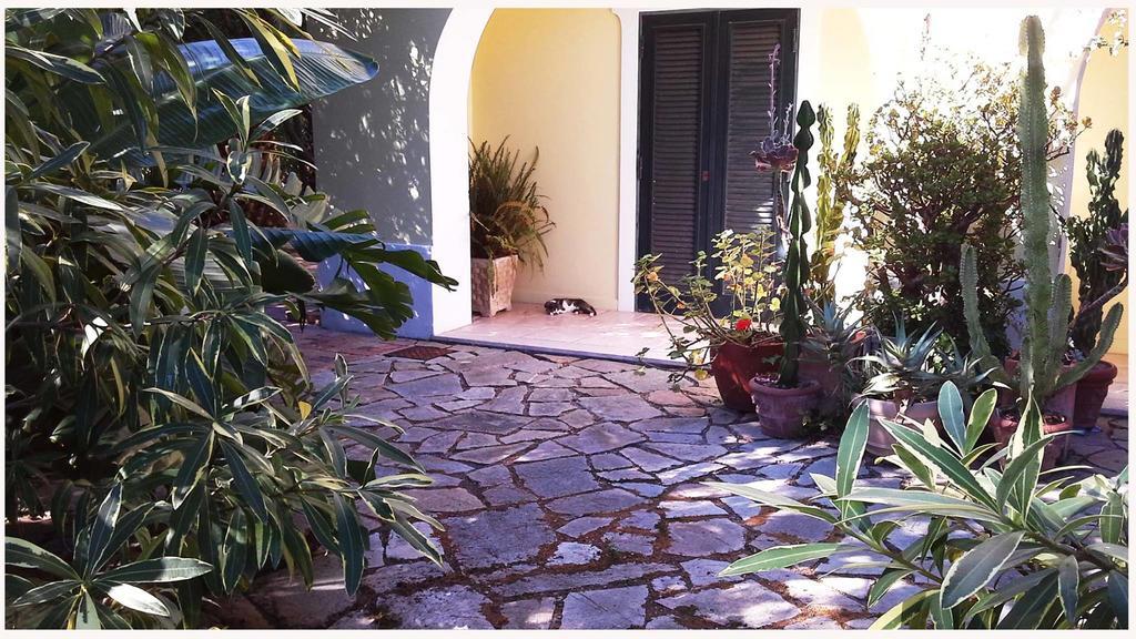 B&B La Salamandra Kitchengarden Forio di Ischia Esterno foto