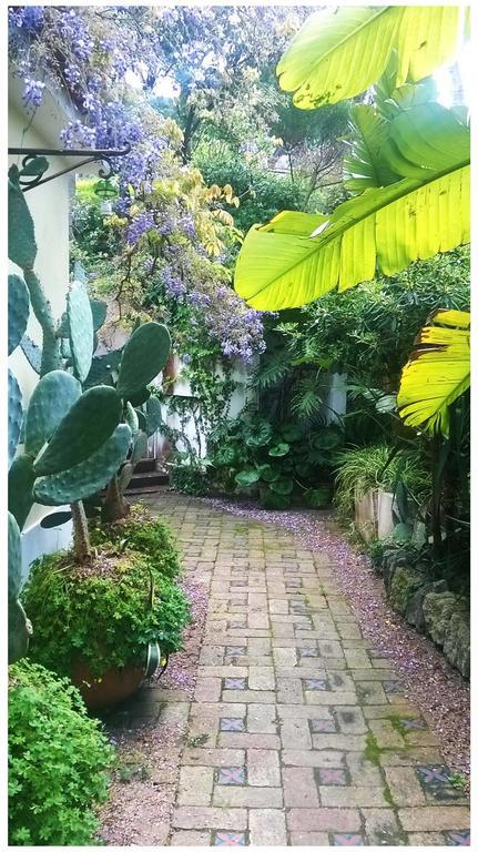 B&B La Salamandra Kitchengarden Forio di Ischia Esterno foto