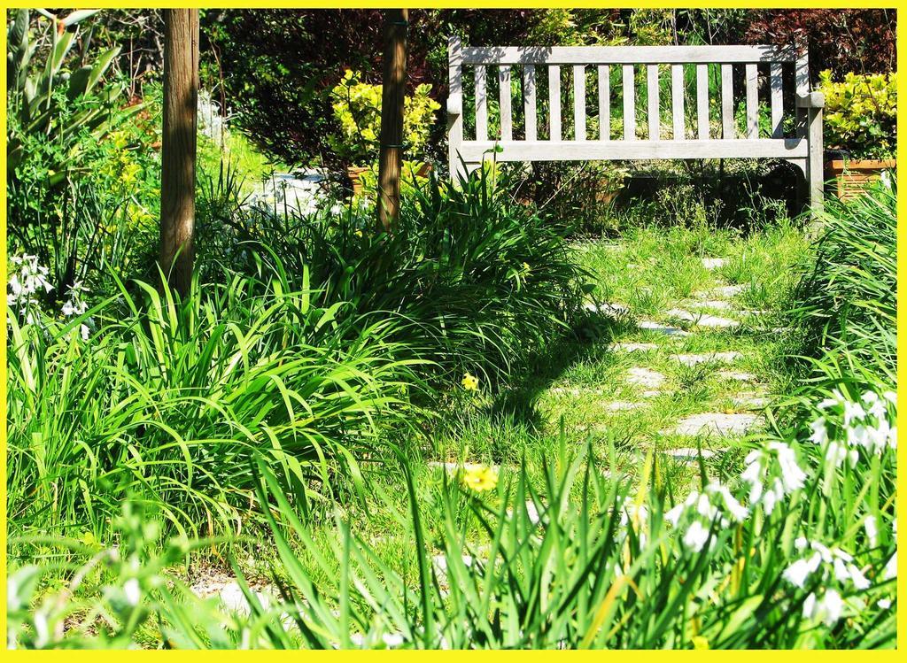 B&B La Salamandra Kitchengarden Forio di Ischia Esterno foto