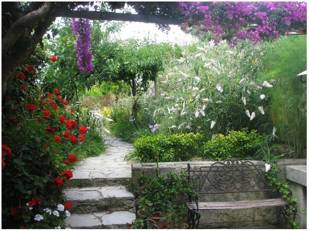 B&B La Salamandra Kitchengarden Forio di Ischia Esterno foto