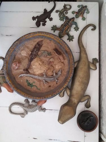 B&B La Salamandra Kitchengarden Forio di Ischia Esterno foto