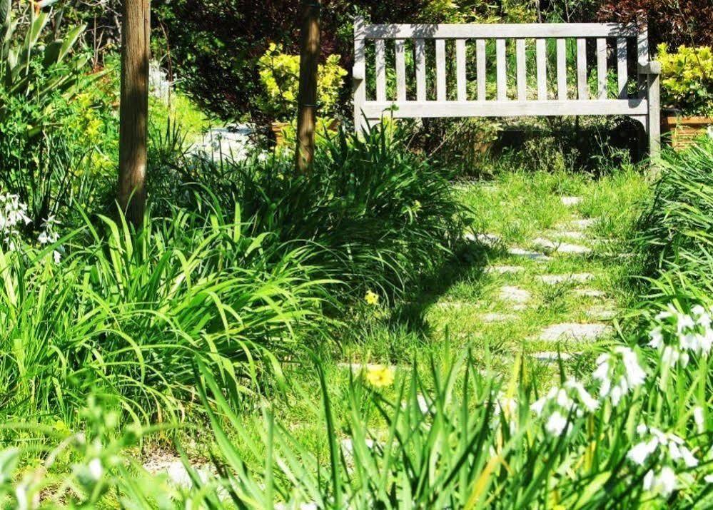 B&B La Salamandra Kitchengarden Forio di Ischia Esterno foto