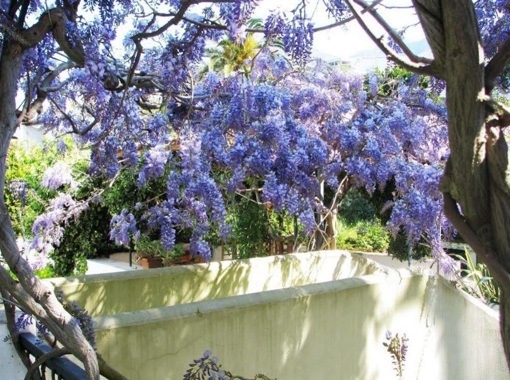 B&B La Salamandra Kitchengarden Forio di Ischia Esterno foto