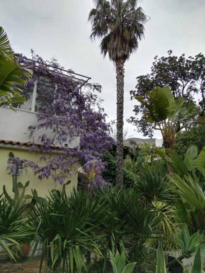 B&B La Salamandra Kitchengarden Forio di Ischia Esterno foto