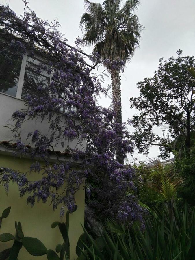B&B La Salamandra Kitchengarden Forio di Ischia Esterno foto