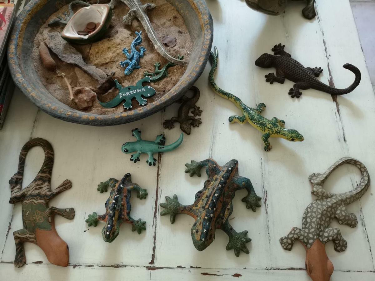 B&B La Salamandra Kitchengarden Forio di Ischia Esterno foto
