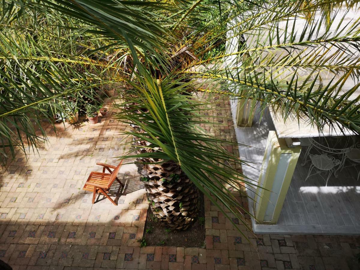 B&B La Salamandra Kitchengarden Forio di Ischia Esterno foto