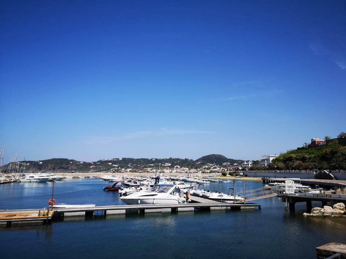 B&B La Salamandra Kitchengarden Forio di Ischia Esterno foto